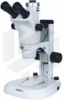 ZOOM STEREO MICROSCOPE (BINOCULAR, ADVANCED)